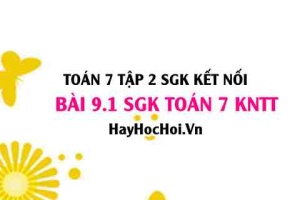 Bài 9.1 SGK Toán 7 Tập 2 Kết nối tri thức